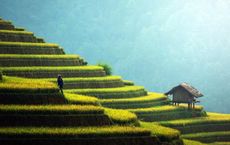 How Emerging Economies Are Redrawing the Map of Responsible Sustainable Investing
