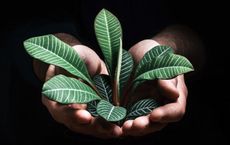 Article Image for Impact Investing as a Catalyst for Social and Economic Progress