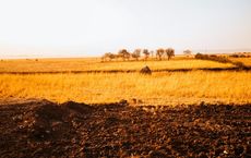 Article Image for Innovation in Agriculture Technology Across Africa