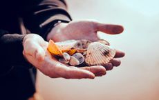 Article Image for Micro-Investing Platforms and Democratizing Finance