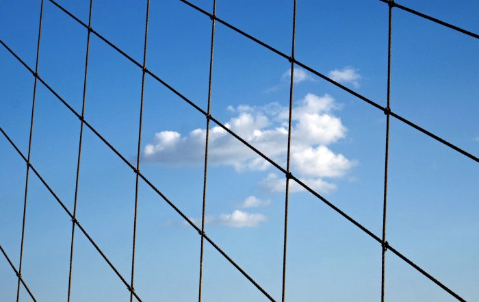 Article Image for Multi-Cloud Strategies Strengthening Corporate Resilience