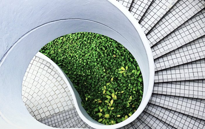 Article Image for Regenerative Business Practices Shaping Future Industries