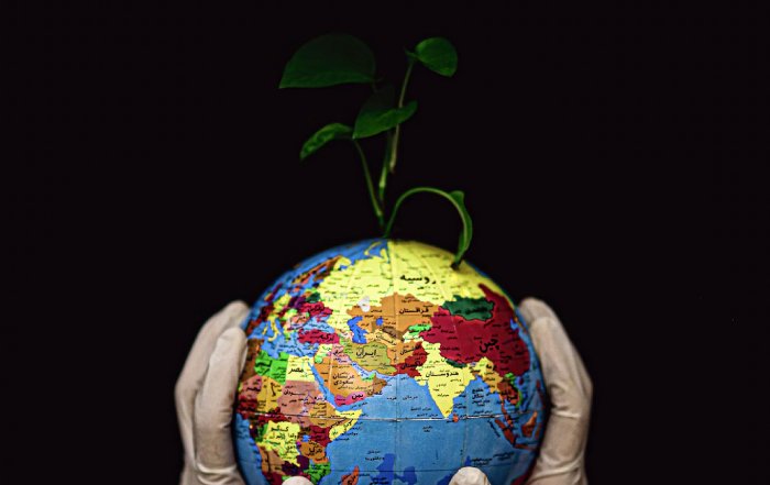 Article Image for Sustainability as a Competitive Edge in Global Markets