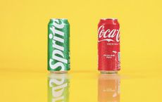 Article Image for Sustainable Branding Practices Transforming Consumer Perception