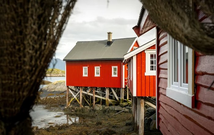 Article Image for Sustainable Business Practices Taking Hold in Scandinavia