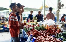 Article Image for Sustainable Consumer Behavior Influencing Market Dynamics