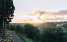 Article Image for Sustainable Investing: Beyond the Hype in Europe
