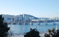Article Image for The State of E-Commerce in South Korea