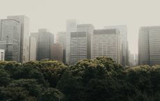 Article Image for Venture Capital in Climate Tech Startups